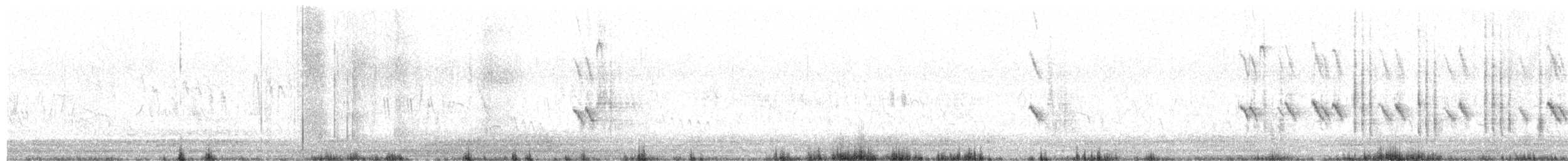 bělořit plavý - ML633284464