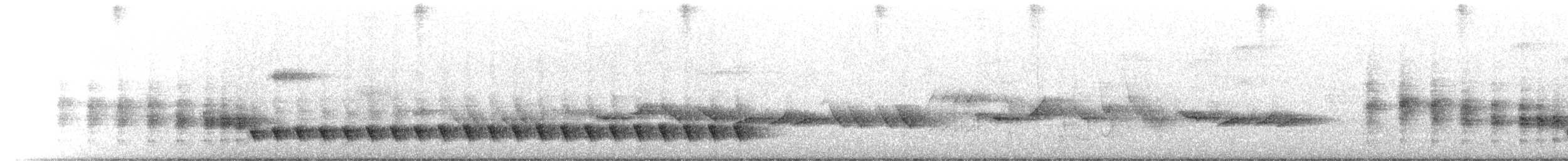Chattering Gnatwren - ML633285430