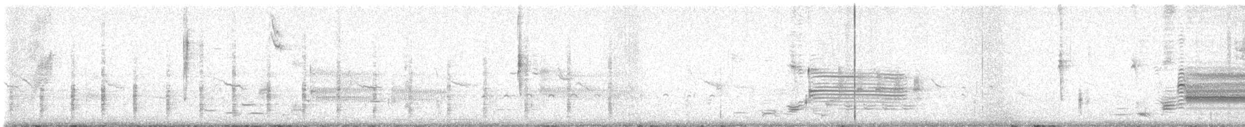 Clapper Rail - ML633285652