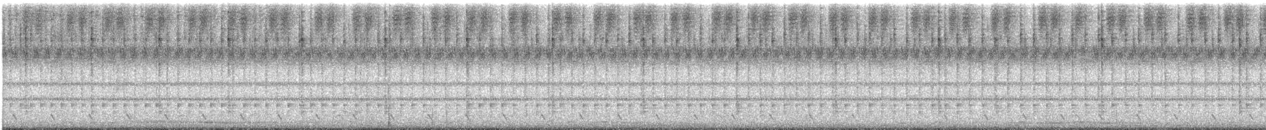 Jungle Nightjar - ML633286752