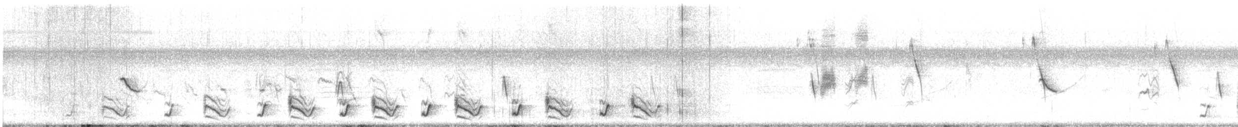 Veracruz Wren - ML633294354