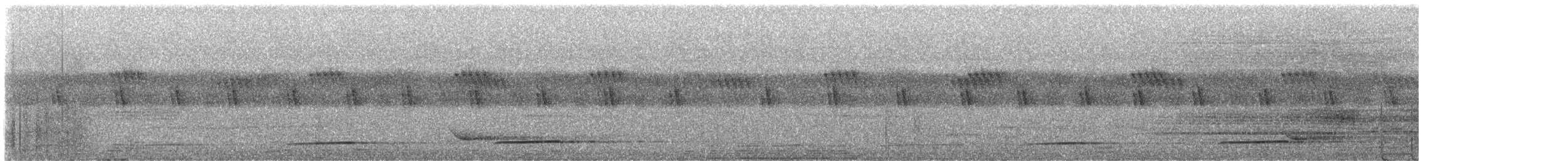 クロカッコウ（gabonensis） - ML633296073