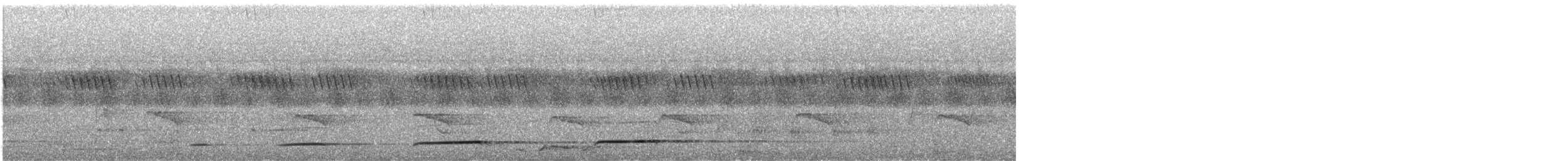 クロカッコウ（gabonensis） - ML633296074