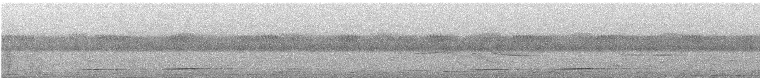 クロカッコウ（gabonensis） - ML633296076