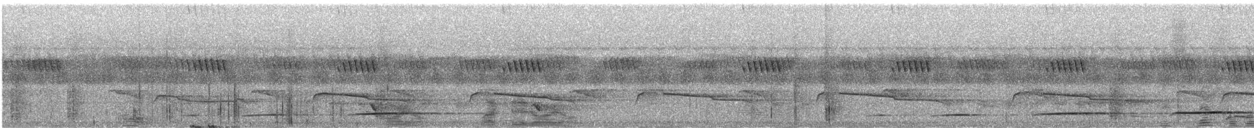 クロカッコウ（gabonensis） - ML633296089