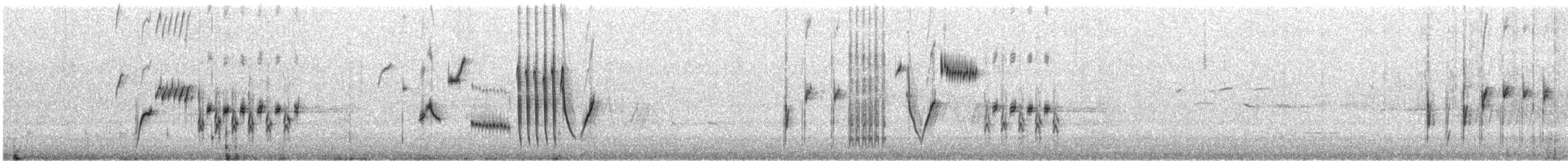 ノドグロヒメドリ - ML633305255