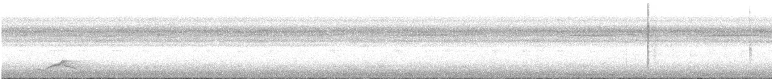 Common Pauraque - ML633306000