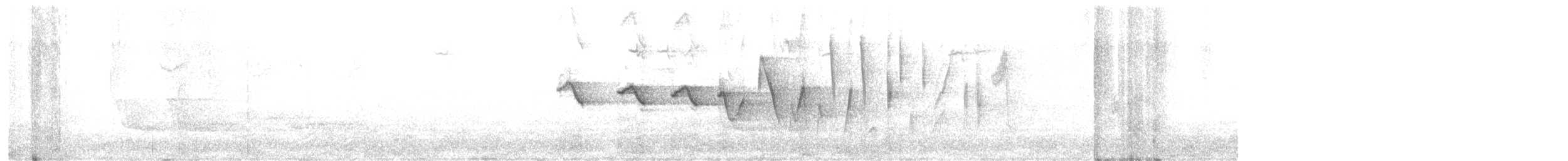 Louisiana Waterthrush - ML633306675