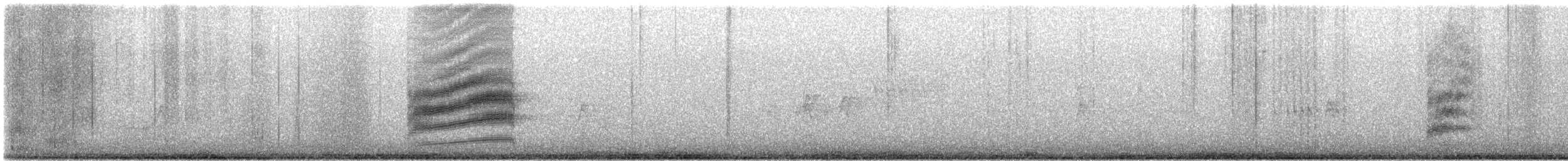 Tohi tacheté - ML633308256