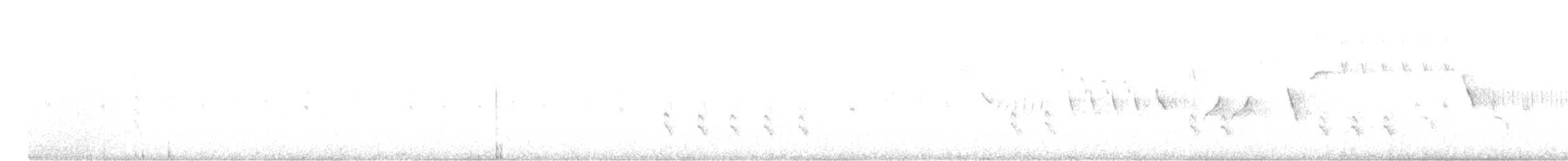 צלוב-מקור סקוטי - ML633308324