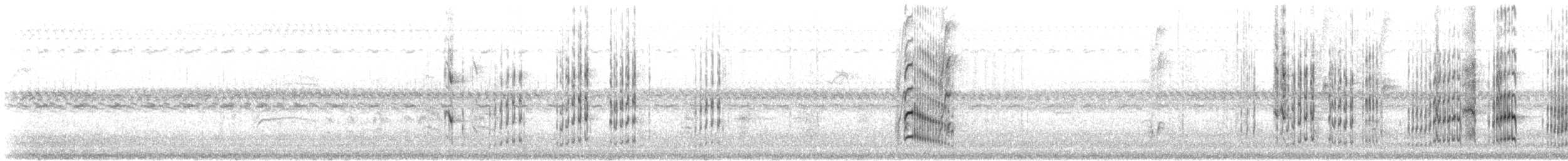 White Woodpecker - ML633308574
