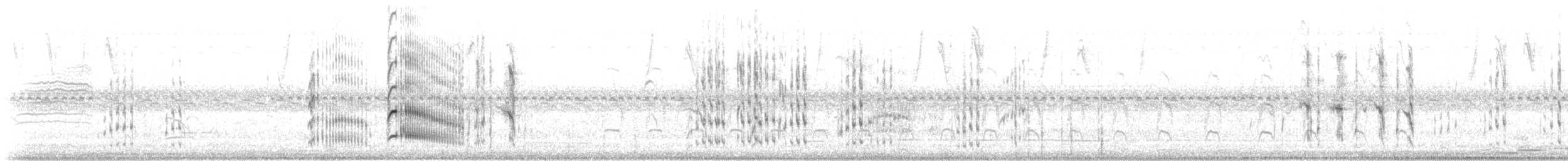 White Woodpecker - ML633308575
