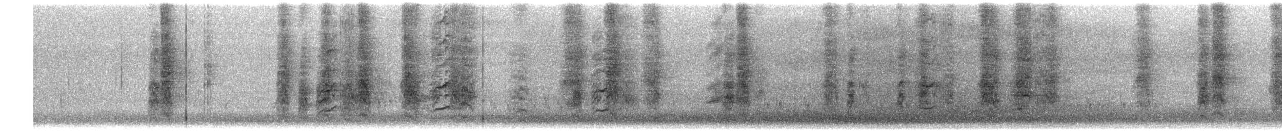 Apôtre gris - ML633308936