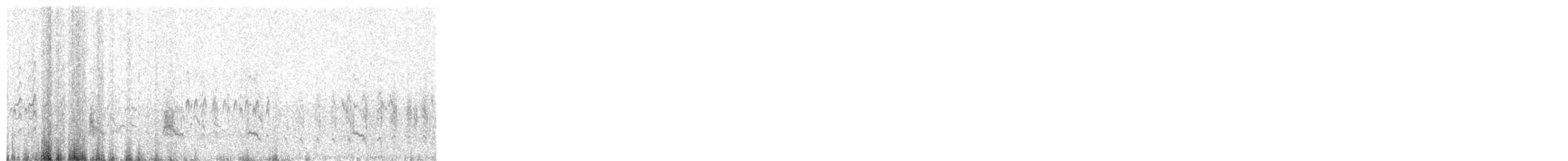 Stilt Sandpiper - ML633310821