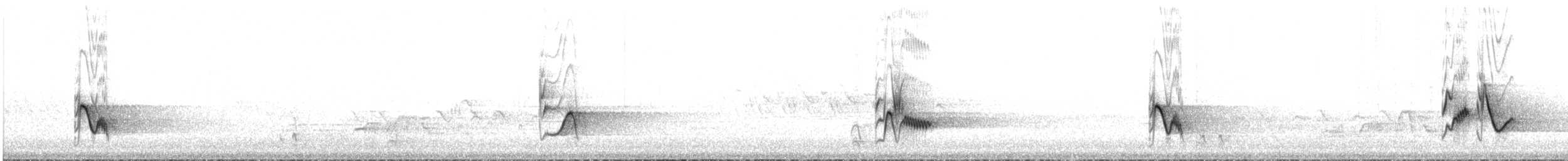 Cassin's Vireo - ML633312643