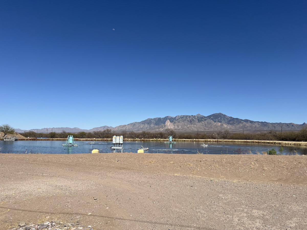 null - ML633312969