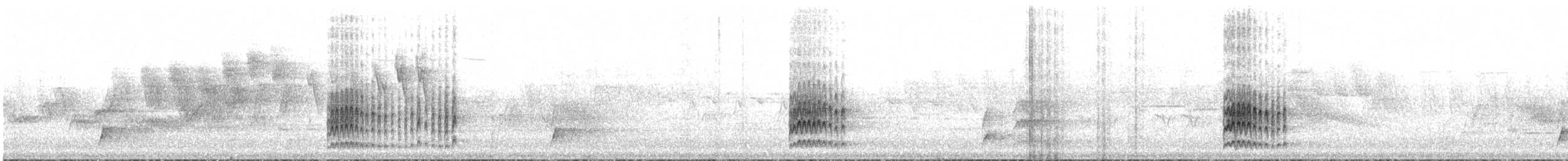 Swainson's Thrush - ML633317611