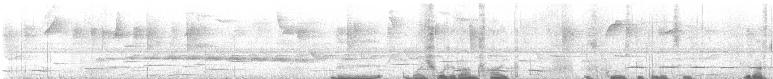 White-shouldered Antshrike - ML633318554