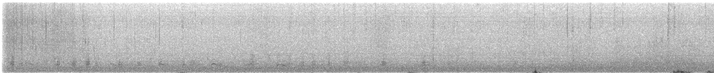Büffelkopfente - ML633322443