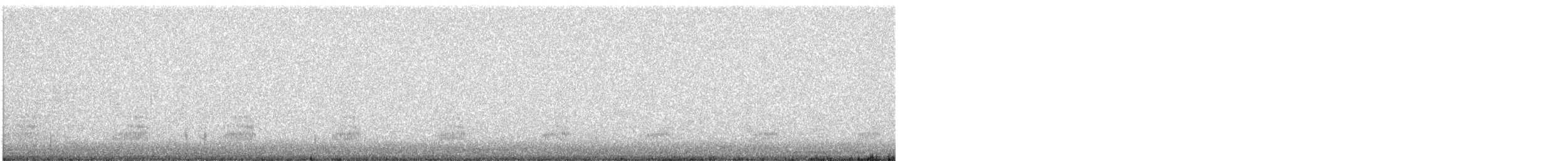 Canard noir - ML633322902