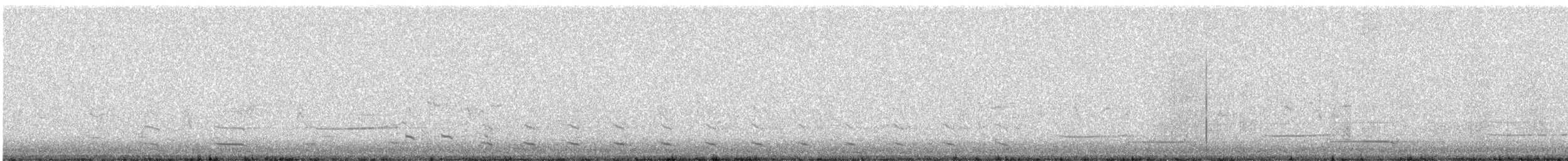 American Herring Gull - ML633322916