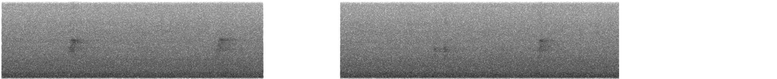 White-cheeked Turaco - ML633323740