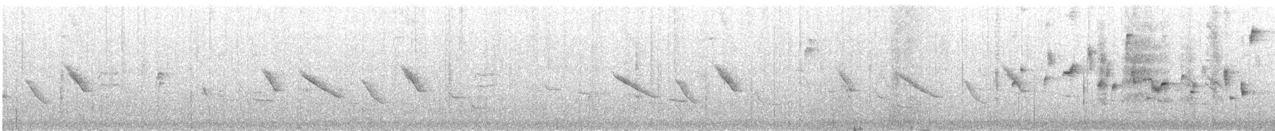 Variable Sunbird (Yellow-bellied) - ML633323782