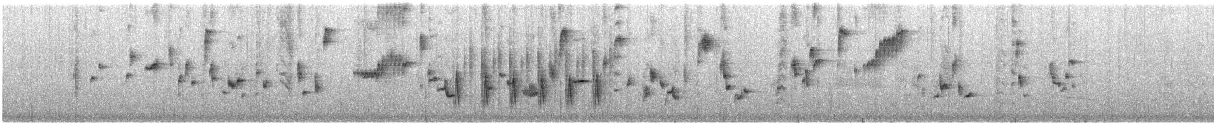 Green-backed Camaroptera - ML633323831