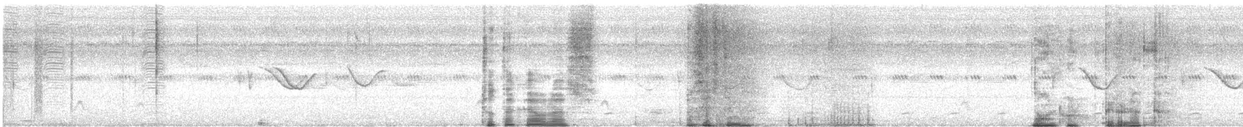 Spot-tailed Nightjar - ML633328197