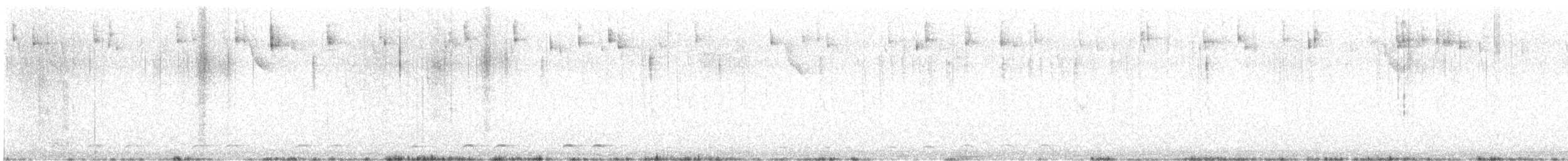 Northern Pygmy-Owl (Guatemalan) - ML633331216