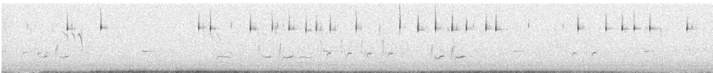 Bell's Sparrow (belli) - ML633331656