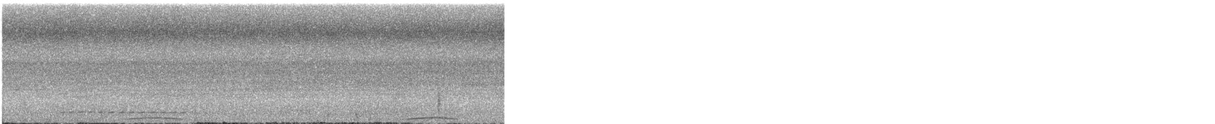 Phasianelle onchall - ML633331719