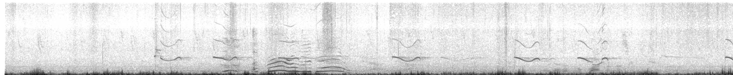 Bristle-thighed Curlew - ML633332598