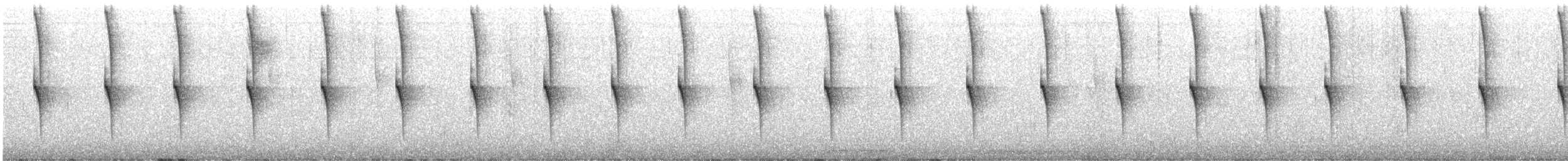 Rivoli's Hummingbird - ML633334865