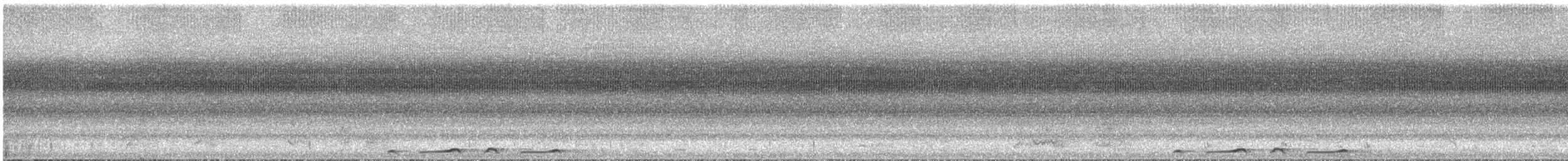 Bar-shouldered Dove - ML633336074