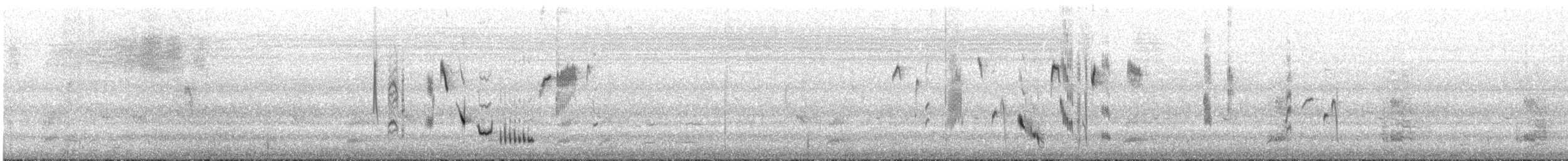 Brown Thornbill - ML633336120