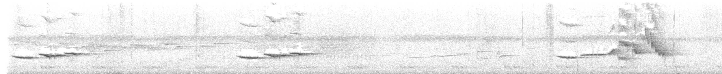 Large Niltava - ML633336152