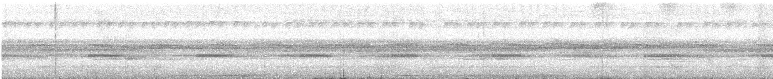 Nocturnal Curassow - ML633338240
