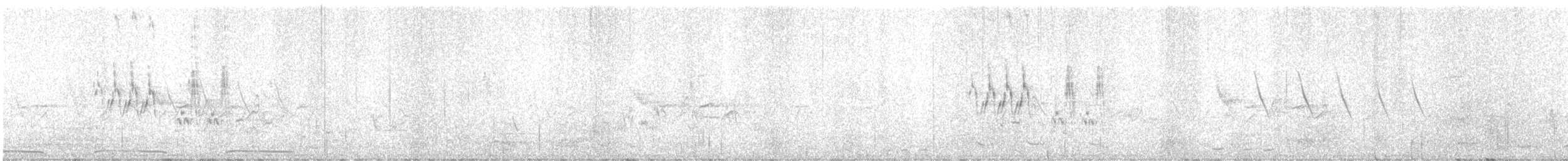 Weißbrauenstelze - ML633338434