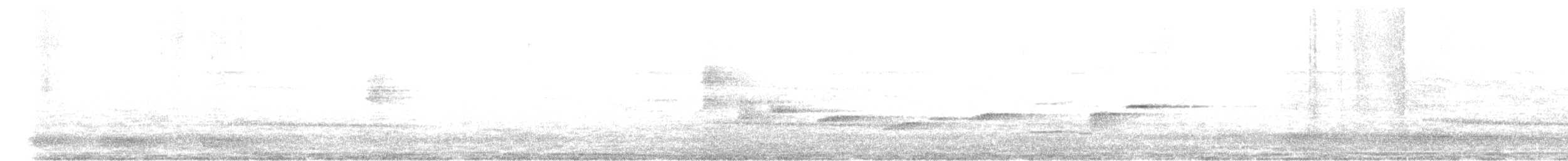 Spot-breasted Fantail - ML633338712