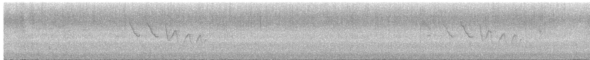 strømparula - ML633341022