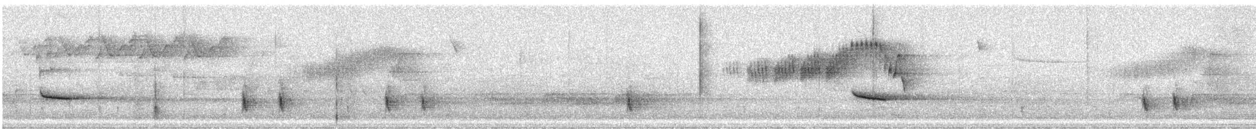 Hermit Thrush - ML633341024