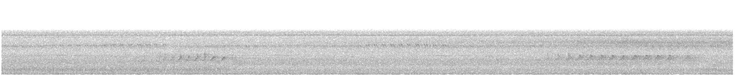 Téphrodorne bridé - ML633341900