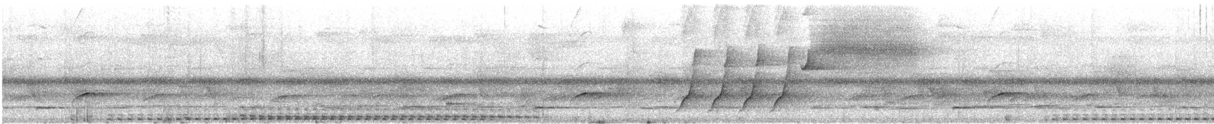 Puerto Rican Owl - ML633345286