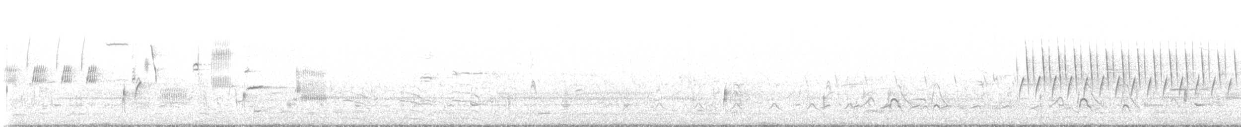 Canard d'Amérique - ML633346609
