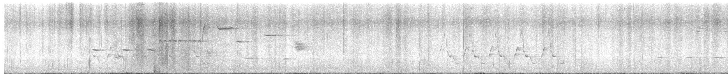 Carolina Wren - ML633346692