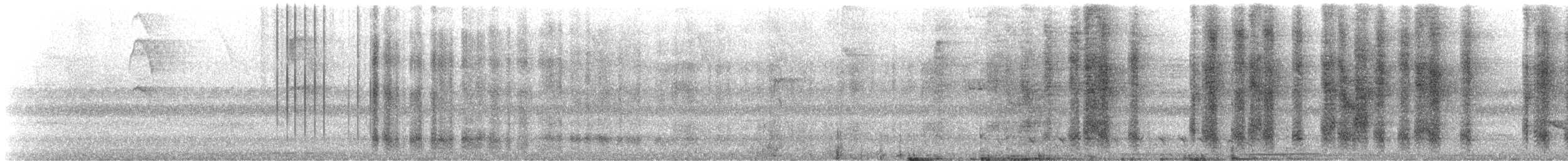Band-backed Wren - ML633348080
