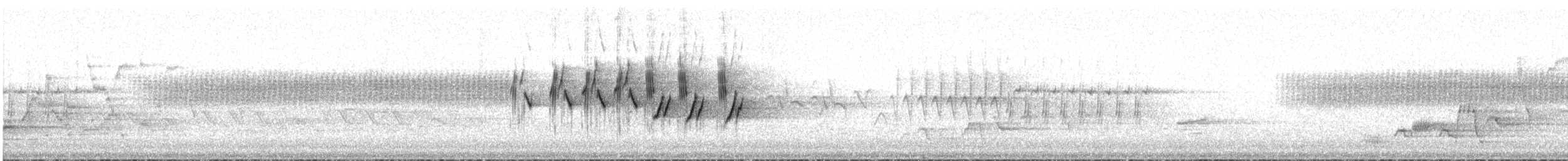 MacGillivray's Warbler - ML633348988