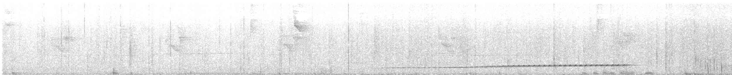 Rufous-tailed Antthrush - ML633349360