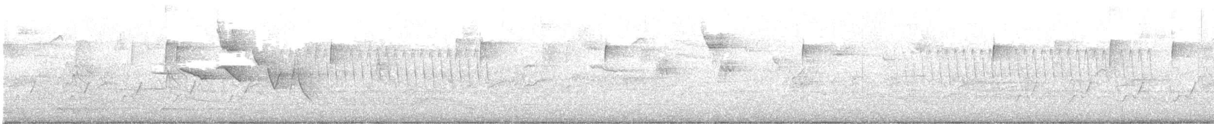 Swainson's Warbler - ML633350826